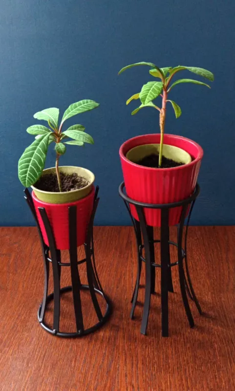 Dekoratyviniai metaliniai stovai gėlių vazonėliams ar žvakidėms, 2vnt. - , namai ir interjeras 5