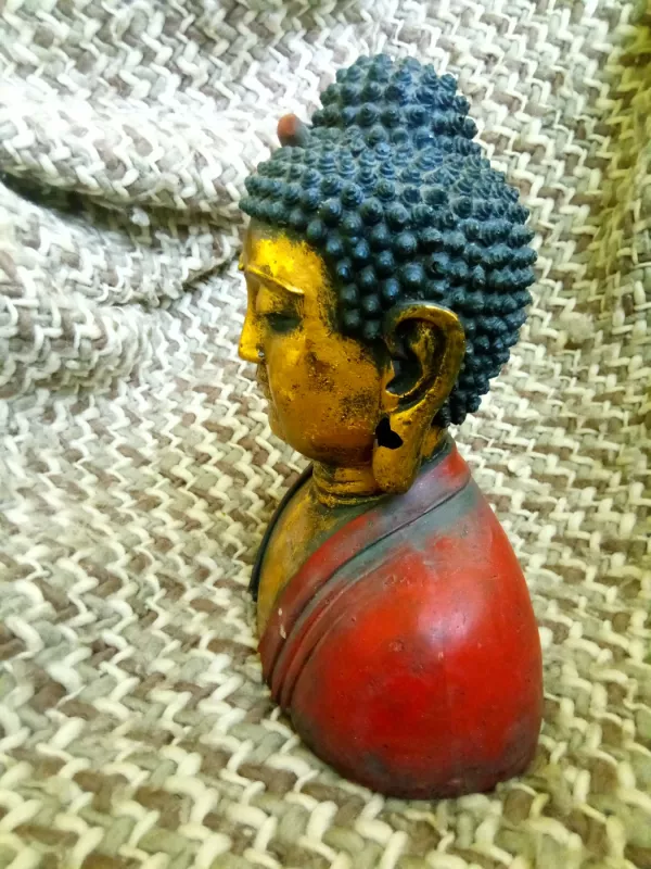 Buda - , namai ir interjeras 5