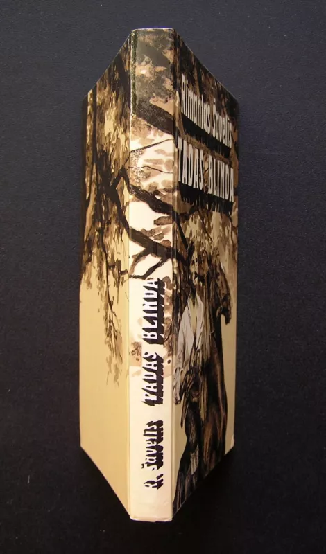 Tadas Blinda - Rimantas Šavelis, knyga 5