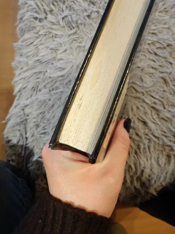 SS-nuo gatvės kovotojų iki daugiagalvės hidros - Autorių Kolektyvas, knyga 3