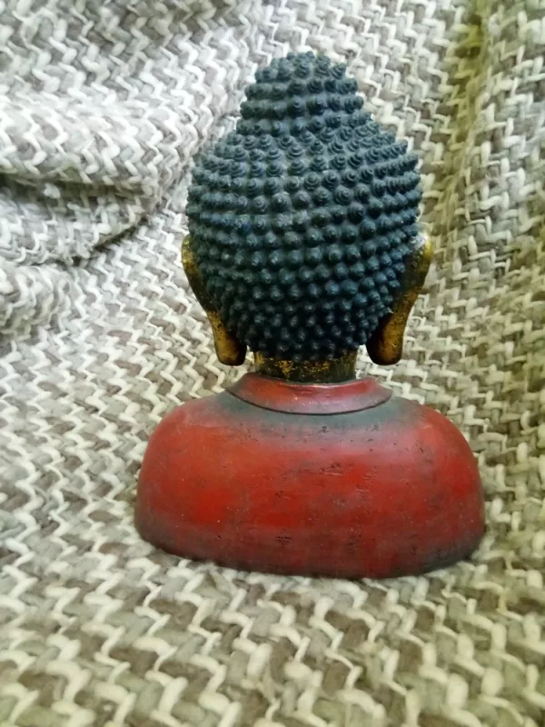 Buda - , namai ir interjeras 4