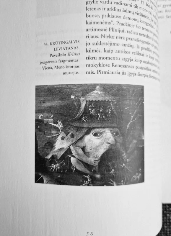 Fantastiškieji viduramžiai. Antika ir egzotizmai gotikos mene - Jurgis Baltrušaitis, knyga 5