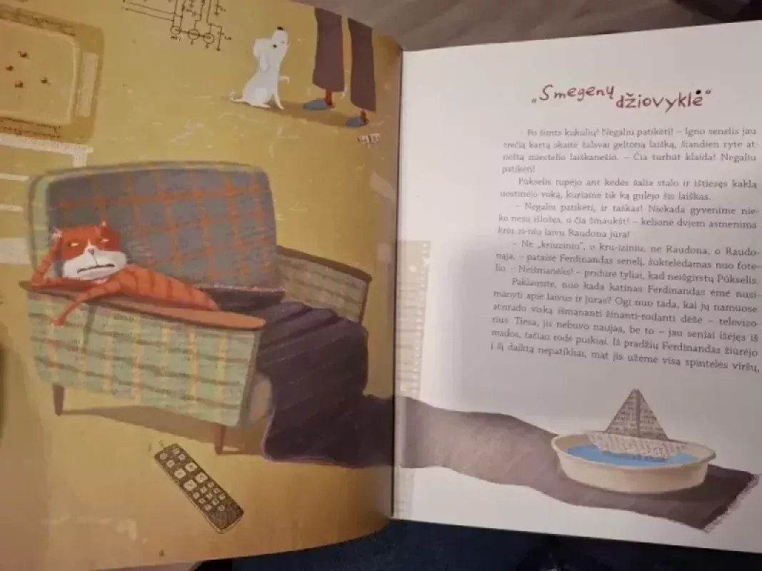 Ferdinandas ir Pū. Žygis į Australiją - Lina Žutautė, knyga 3