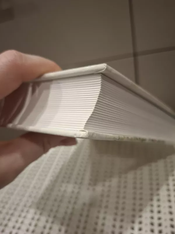 Beatrix Potter PASAKOS - Beatrix Potter, knyga 6