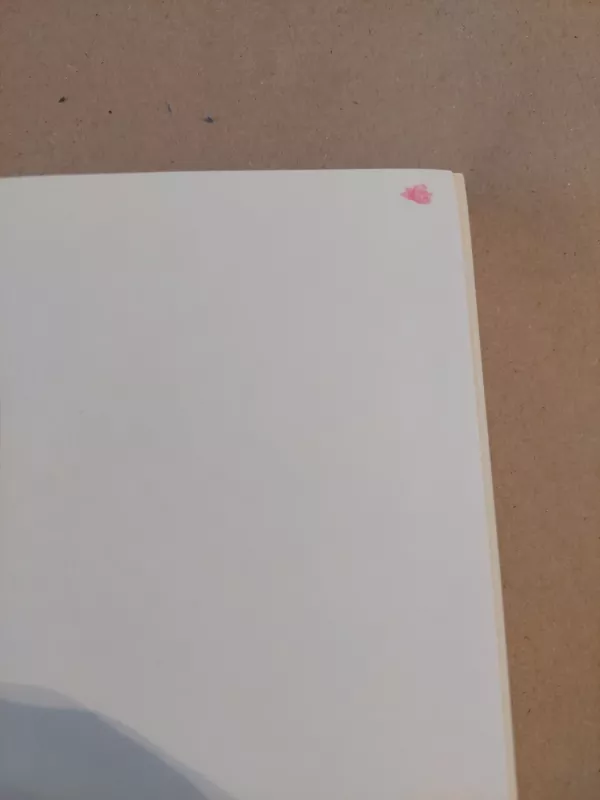 Teatsiveria tavo akys - Vytautas Bubnys, knyga 6