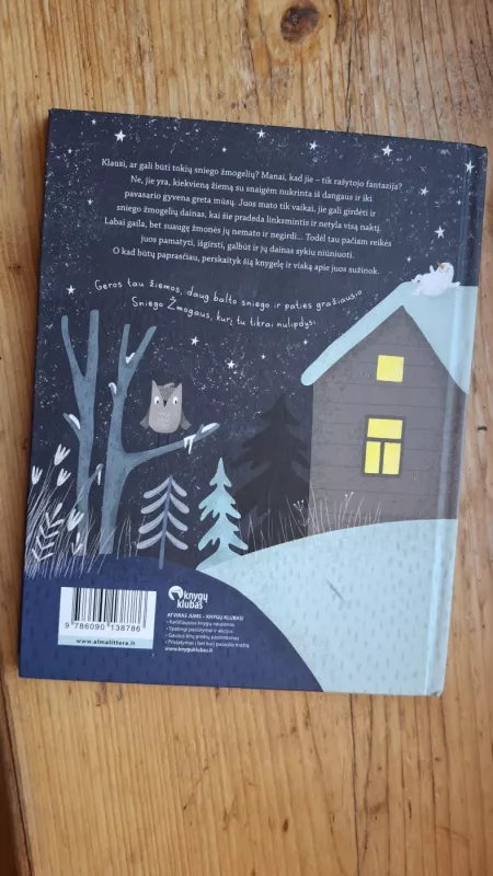 Sniego žmogelių žiema - Selemonas Paltanavičius, knyga 4