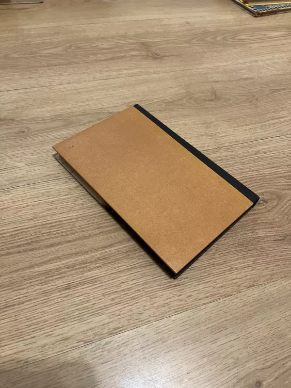 Laukinės gulbės - Hansas Kristianas Andersenas, knyga 3