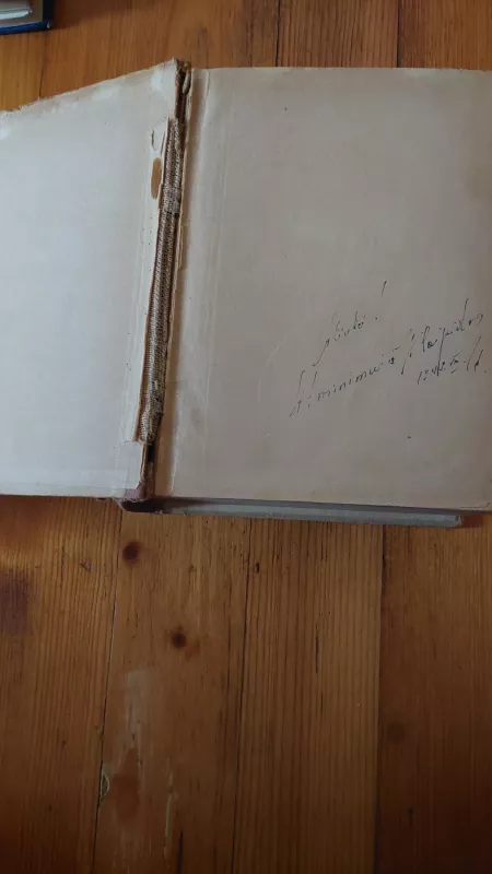 Gražioji Nivernietė - A. Daudet, knyga 2