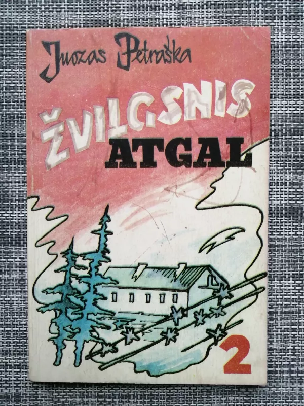 Žvilgsnis atgal (2 knyga) - Juozas Petraška, knyga 2