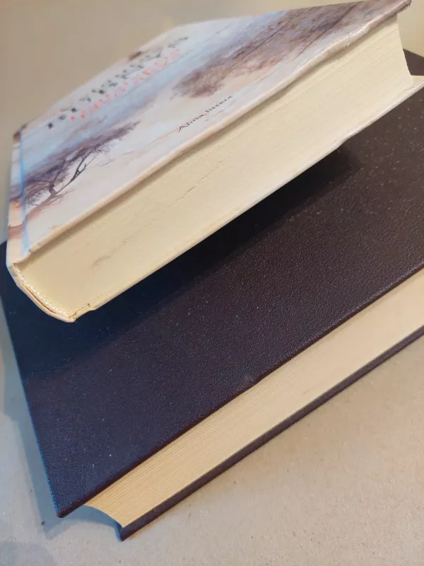 Teatsiveria tavo akys - Vytautas Bubnys, knyga 5