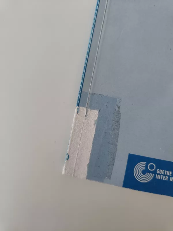 Einfach gut. Deutsch für Alltag und Beruf. Lehrerhandbuch - Goethe Institut , knyga 4