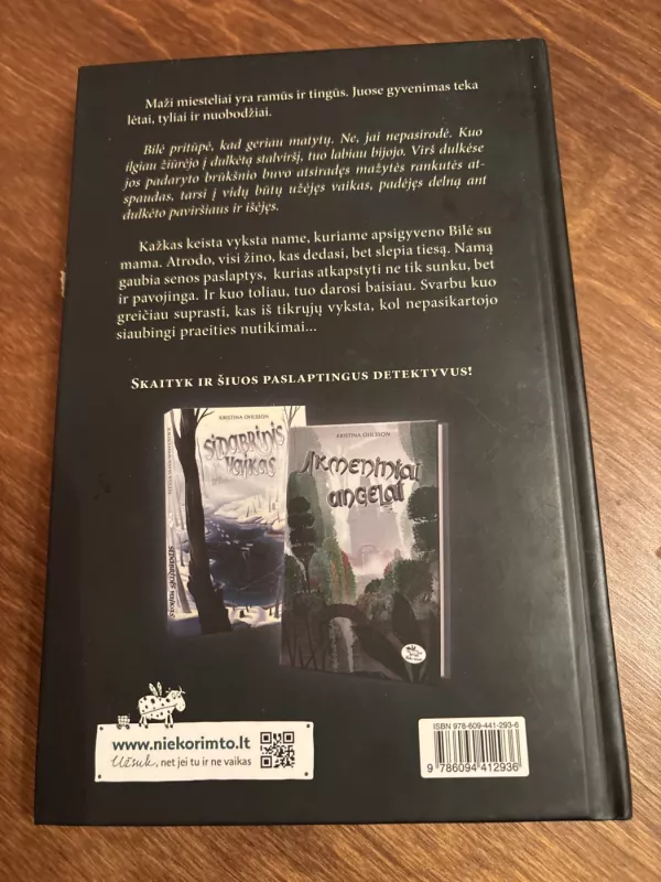 Stiklo vaikai - Ohlsson Kristina, knyga 3