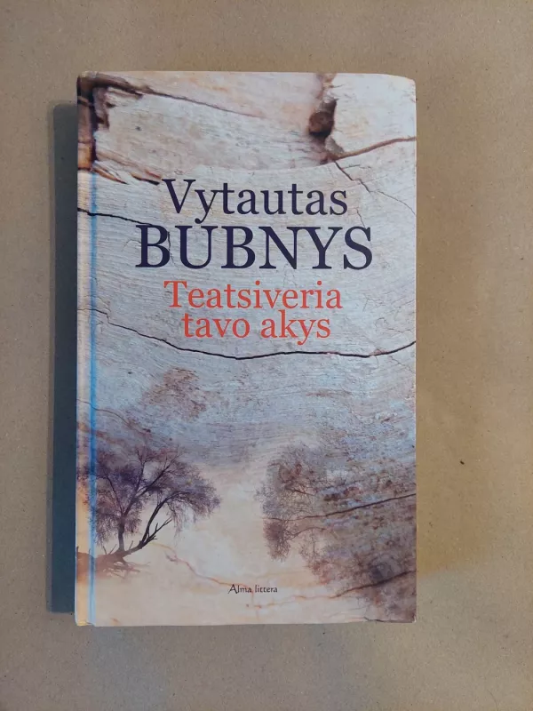 Teatsiveria tavo akys - Vytautas Bubnys, knyga 2