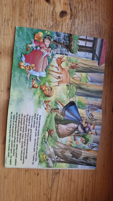 Snieguolė ir septyni nykštukai - Herta Matulionytė, knyga 3