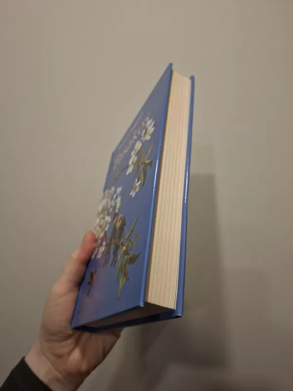 Pasakos - Astrid Lindgren, knyga 6