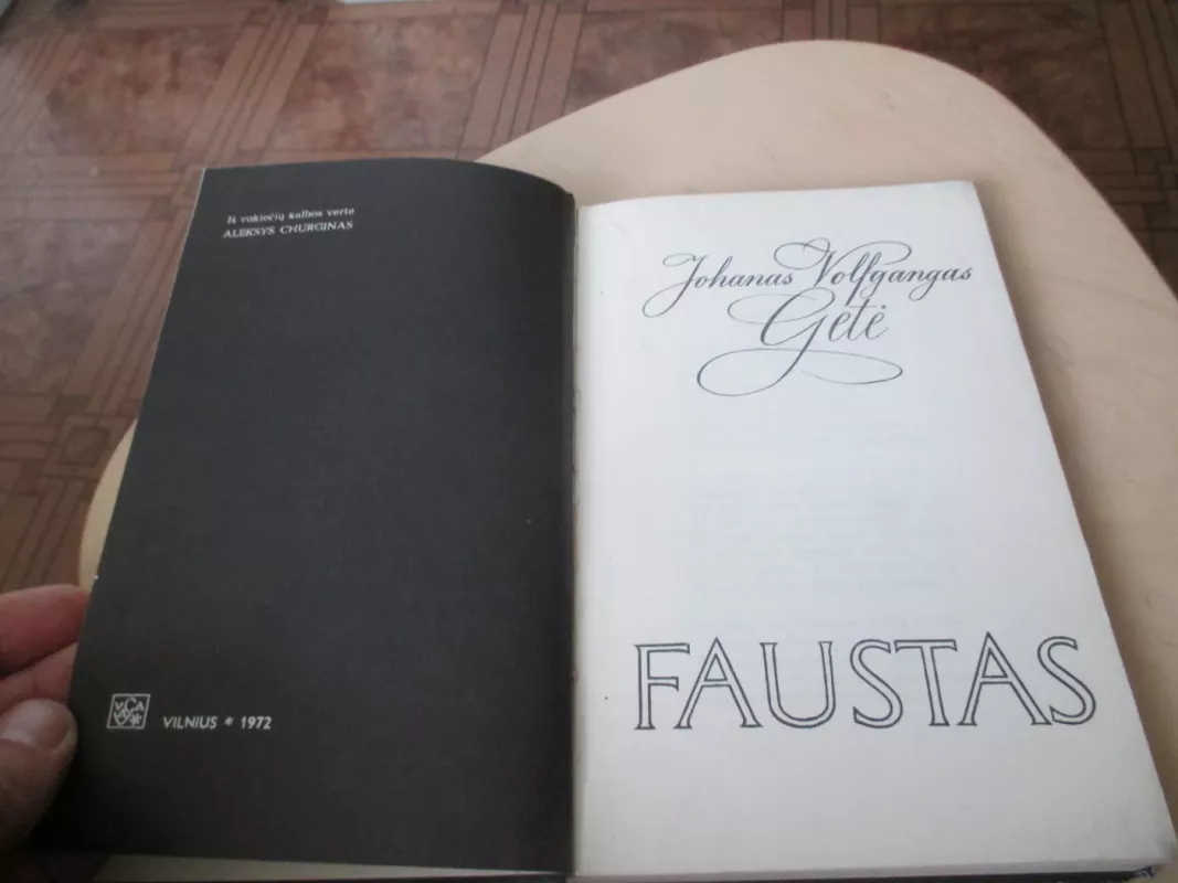 Faustas - Johanas Volfgangas Gėtė, knyga 6