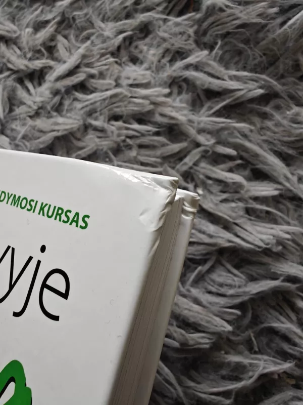 Pažadink savyje dailininką - Betty Edwards, knyga 4