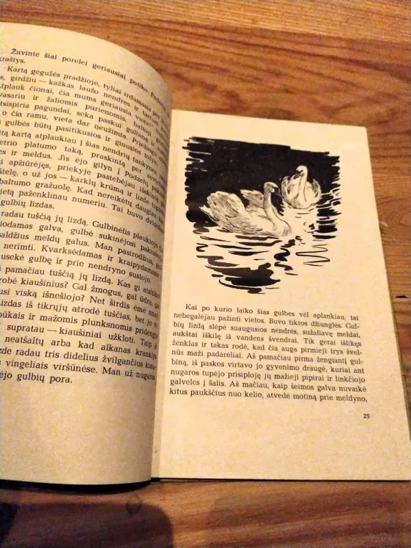 Ežero giesmė - Teofilis Zubavičius, knyga 4