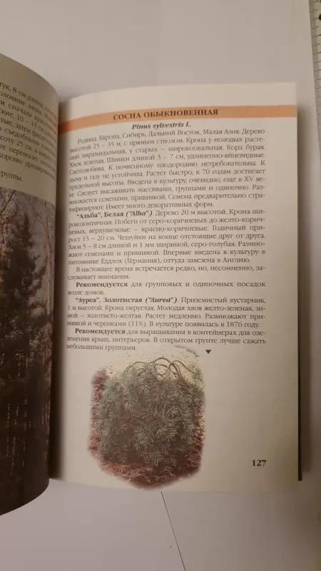 Chvojnyje rastenija v vashem sadu - M.S.Aleksandrova, knyga 6