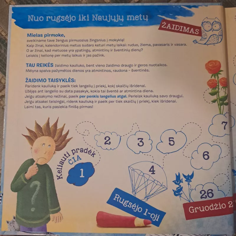 Pirmoko dienoraštis - Daiva Bartninkienė, knyga 2