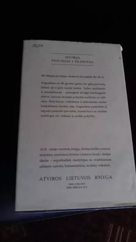 Augustinas iš Hipono - Peter Brown, knyga 2