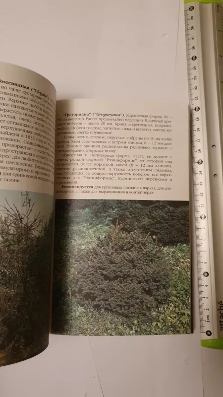 Chvojnyje rastenija v vashem sadu - M.S.Aleksandrova, knyga 5