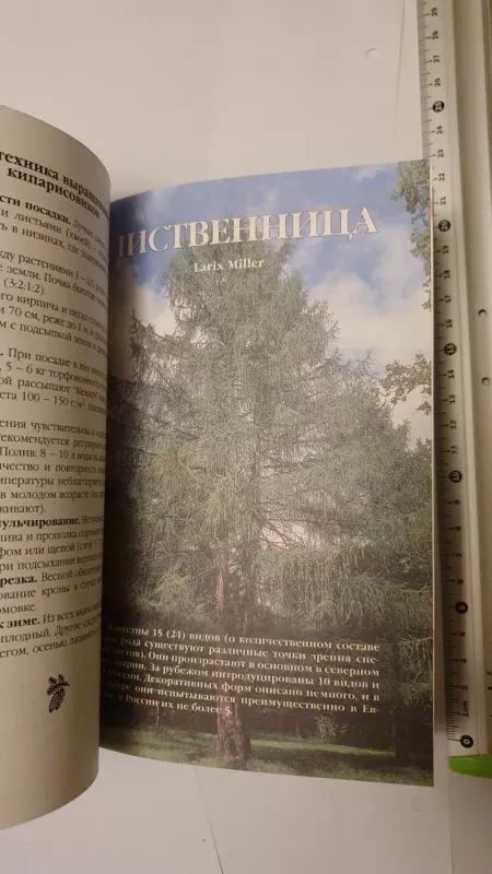 Chvojnyje rastenija v vashem sadu - M.S.Aleksandrova, knyga 4