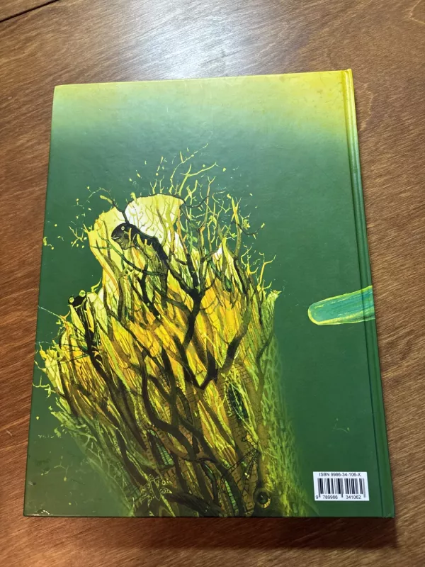 Karaliaus žentas - Martynas Vainilaitis, knyga 3