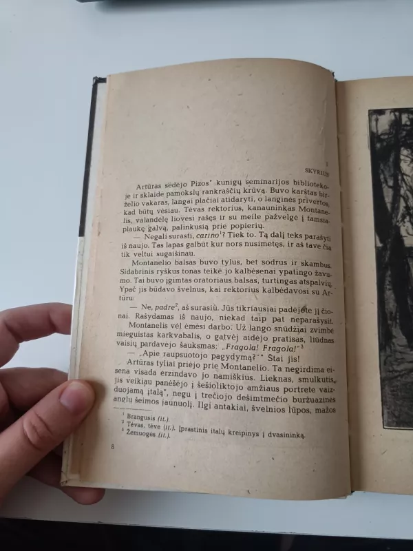 Gylys - E. Voinič, knyga 5