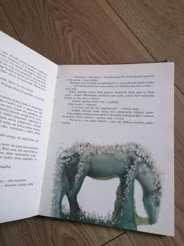 Gyvasis vanduo - Bronislava Kerbelytė, knyga 5