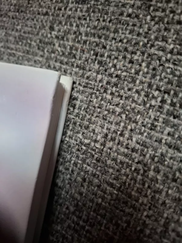 Homeopatija mano vaikui - Maria Schiepeck, Anita  Schweiger, knyga 4