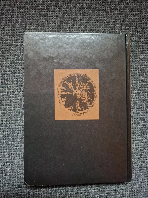 Himalajų šviesa (I dalis) - Vytautas Narvilas, knyga 5