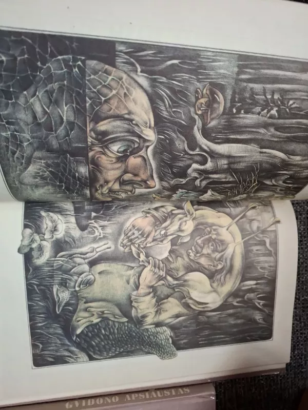 Gvidono apsiaustas - Kazys Saja, knyga 6