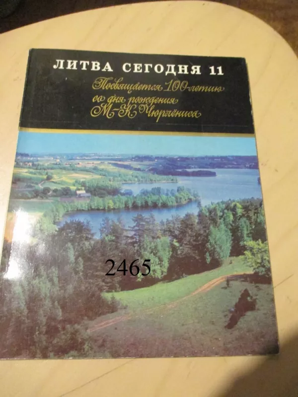 Lietuva šiandien 11 - Įvairūs, knyga 2