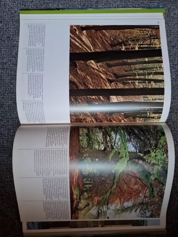 Holland in close-up - Autorių Kolektyvas, knyga 4