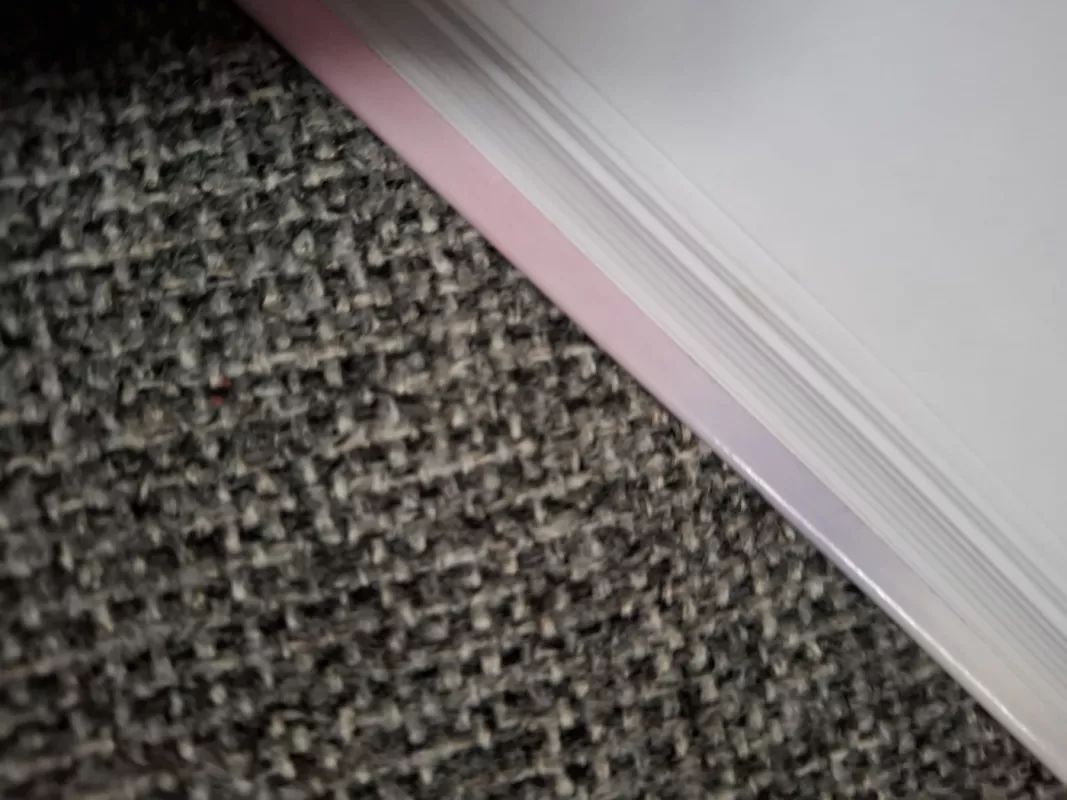 Homeopatija mano vaikui - Maria Schiepeck, Anita  Schweiger, knyga 5