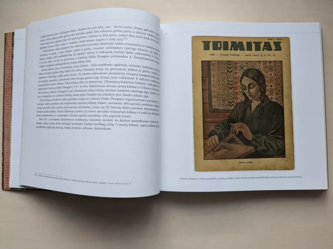 Juostos kilimuose - Diana Tomkuvienė, Asta Vandytė, knyga 4