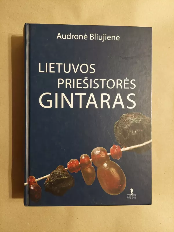 Lietuvos priešistorės gintaras - Audronė Bliujienė, knyga 2