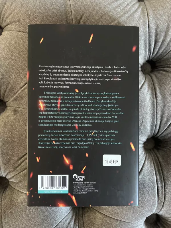 Šviesos blyksnis - Jodi Picoult, knyga 3