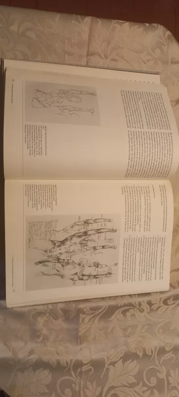 Der nackte Mensch - Gottfried Bammes, knyga 2