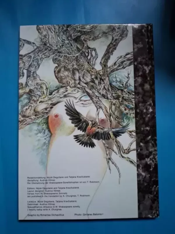 Pelenė. Lietuvos fotomenas - Autorių Kolektyvas, knyga 4