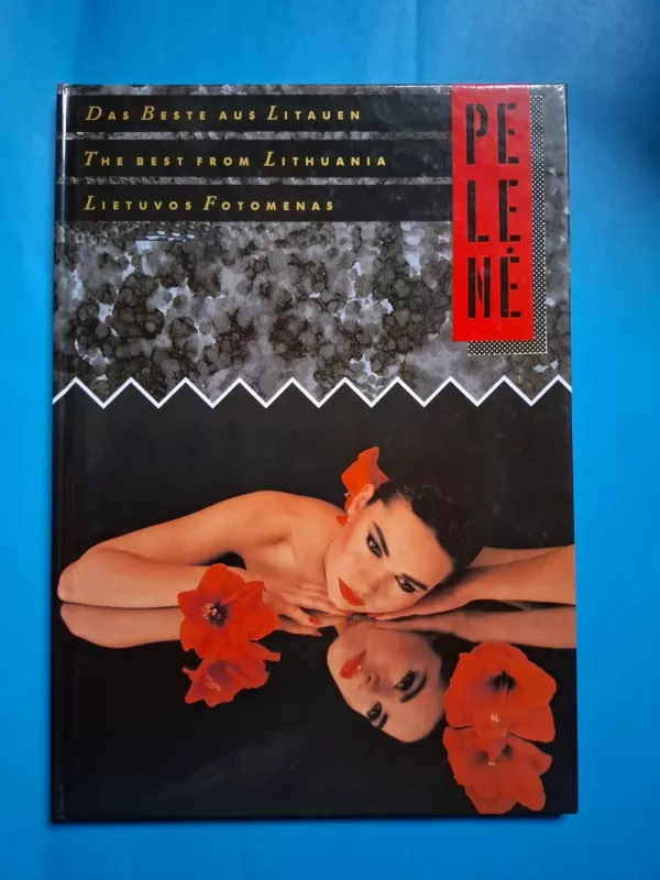 Pelenė. Lietuvos fotomenas - Autorių Kolektyvas, knyga 2