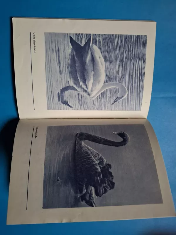 Gulbės Lietuvoje - Vytautas Nedzinskas, knyga 4