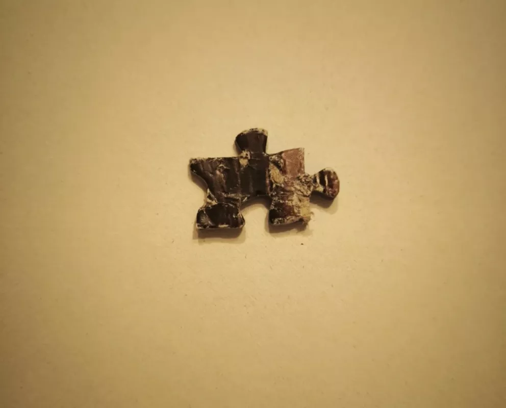 Luis Royo " Dead Moon" dėlionė - , stalo žaidimas 4