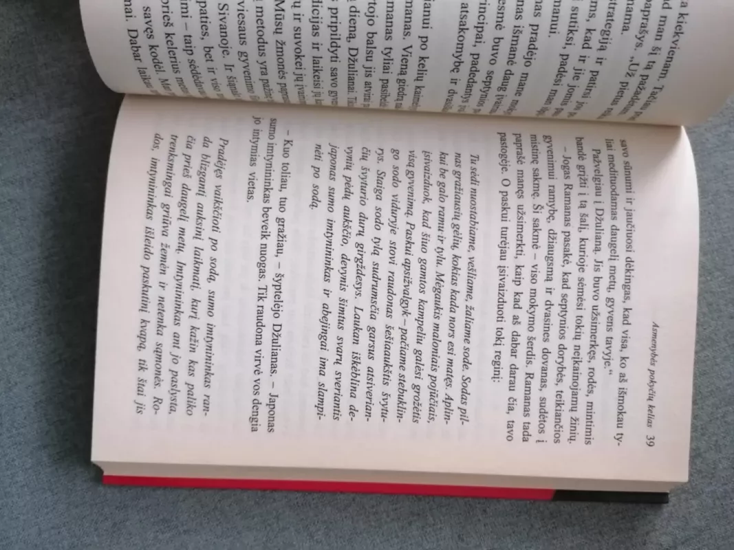 VIENUOLIS, KURIS PARDAVĖ „FERRARĮ“ - Robin Sharma, knyga 3