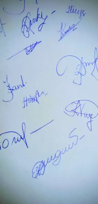 Alfonsas Bailius - Gerhardas Holcas-Baumertas, knyga 3