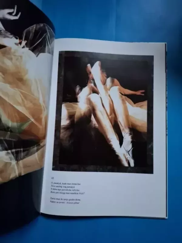 Pelenė. Lietuvos fotomenas - Autorių Kolektyvas, knyga 3