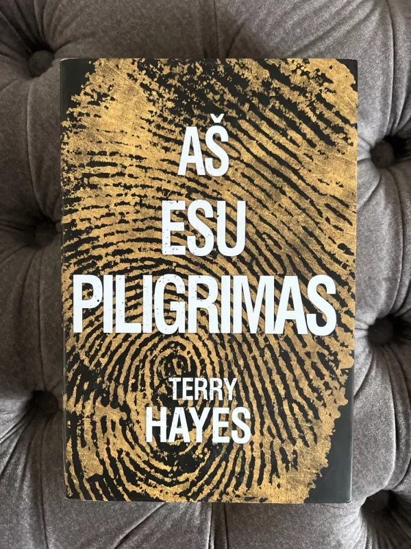 Aš esu Piligrimas - Terry Hayes, knyga 2