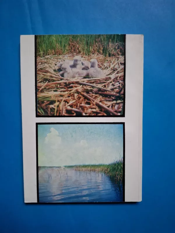 Gulbės Lietuvoje - Vytautas Nedzinskas, knyga 6