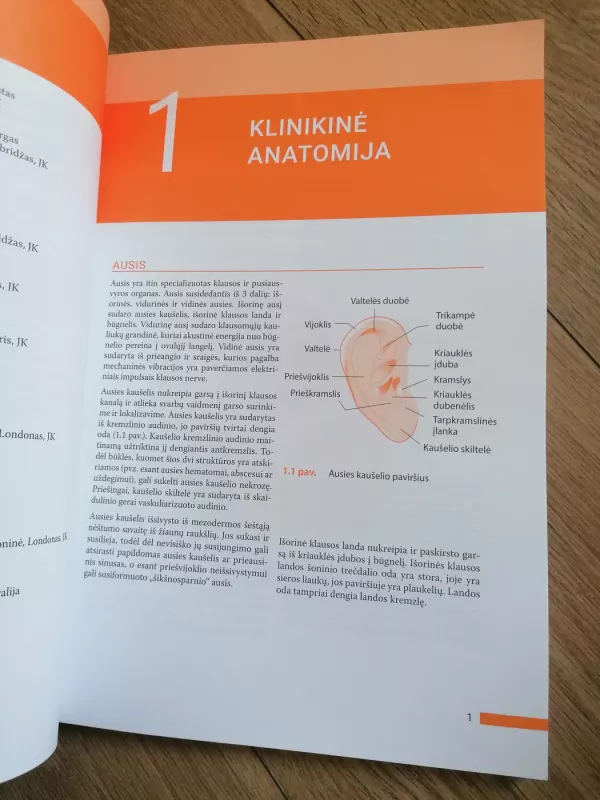 Ausų, nosies ir gerklės ligos - Jame Tysome, knyga 4